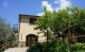 Agricoltura Rascio